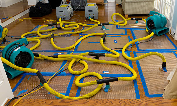Professional Crawl Space Water Removal technician working in Squaw Valley, CA